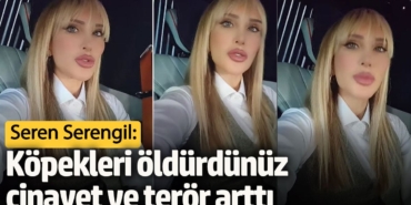 Seren Serengil’den skandal açıklamalar! Köpekleri öldürdünüz cinayet ve terör arttı