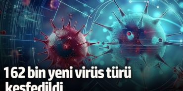 Yeni RNA Virüsleri: 162 Bin Tür Keşfedildi!