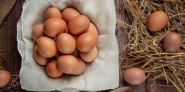 Yumurtaları Güvenle Saklamanın İpuçları!