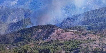 Köyceğiz’de orman yangını devam ediyor