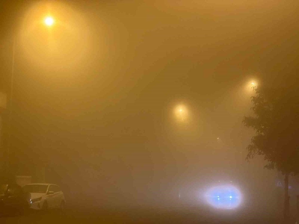 1730543172 480 Muratlida Yogun Sis Gorus Mesafesi 20 Metre Tekirdağ’da gece sis etkili oldu! Göz gözü görmedi