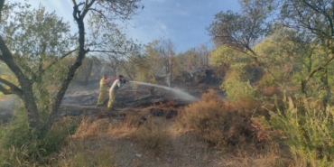 Muğla'daki orman yangını kontrol altında
