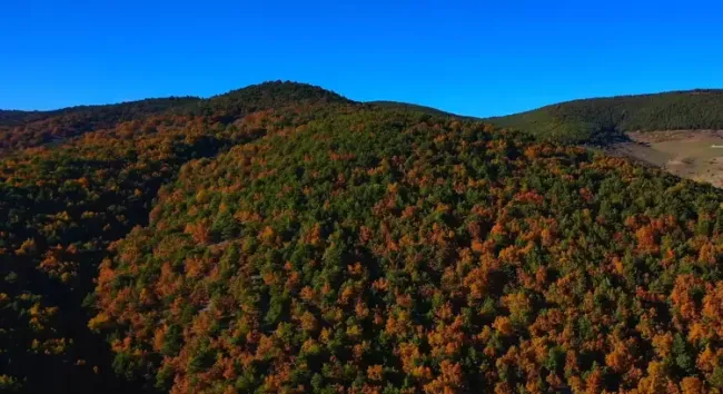 Doğanın Güzellikleri