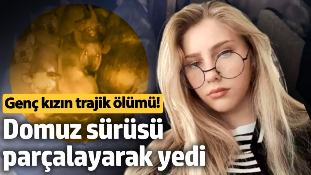 Domuzları beslerken canından oldu