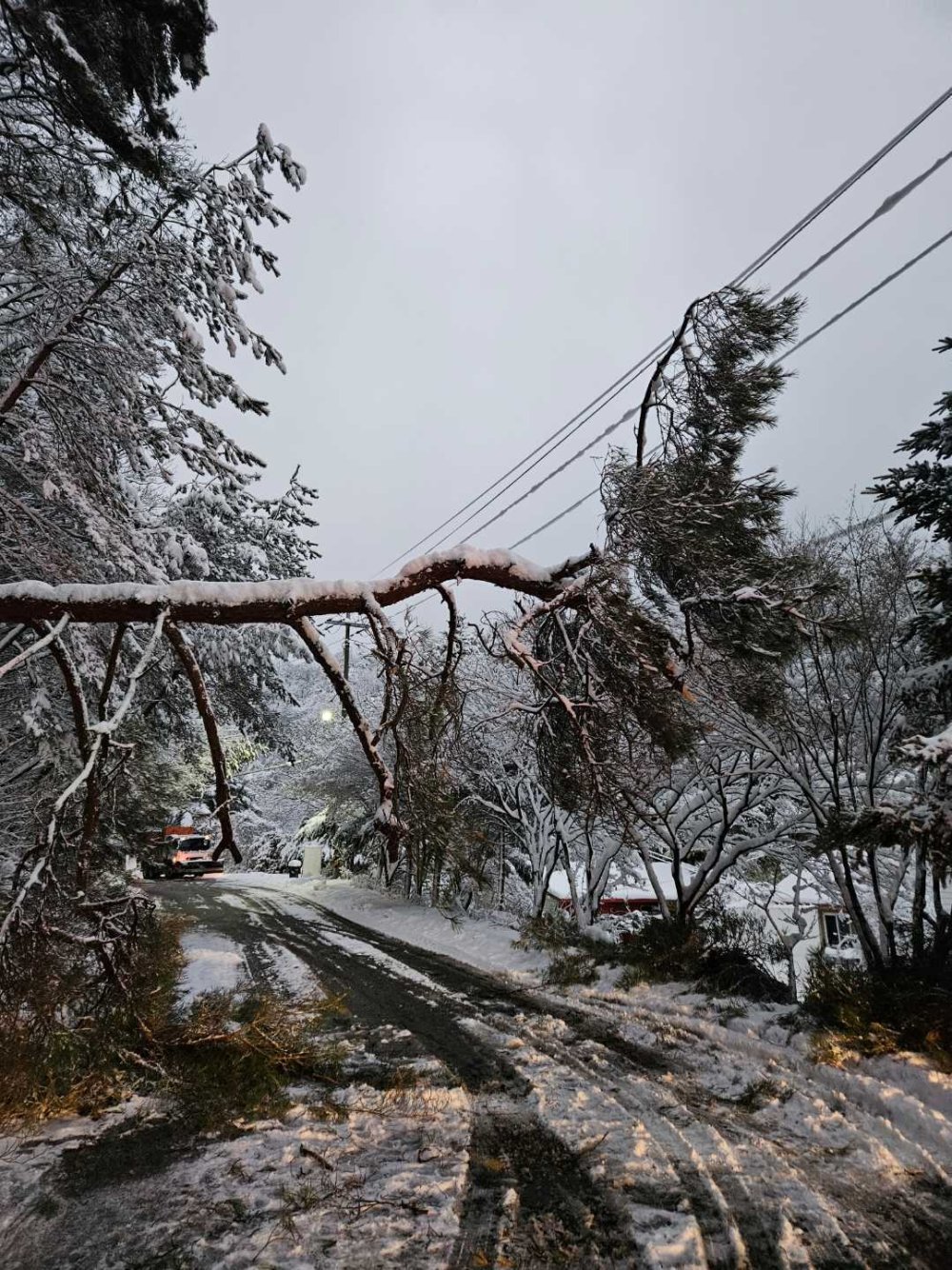 1732970891 278 Guney Korede Kar Firtinasi 4 Olu 11 Yarali Güney Kore’de kar fırtınasında yaşamını yitirenlerin sayısı 4’e yükseldi