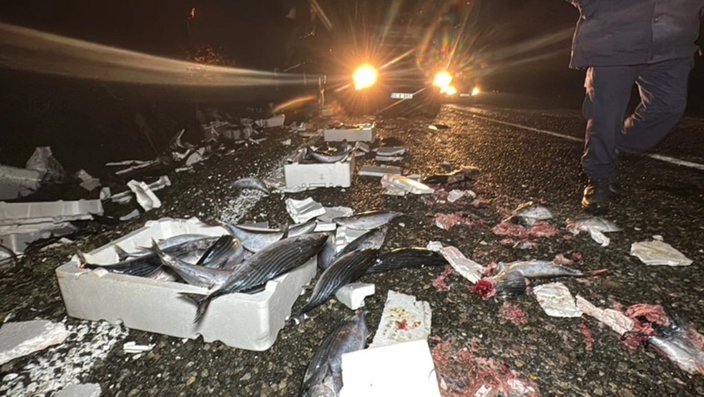 Bartın’da binlerce palamut yola savruldu