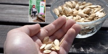 Beyin Sisini Önlemek İçin Besin İpuçları