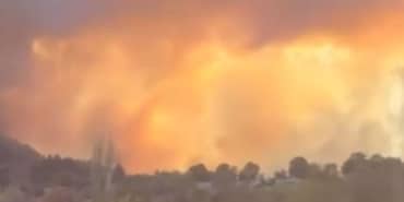 Bursa'da orman yangını