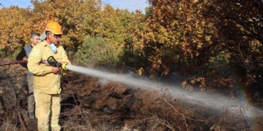 Kırklareli'nde çıkan orman yangını söndürüldü
