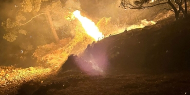 Edirne'de orman yangını. Ekipler müdahale ediyor