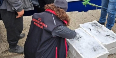 Sinop'da hamsi avcılığı denetimleri arttırıldı