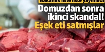 Domuz etinden sonra ikinci skandal! Eşek eti satmışlar