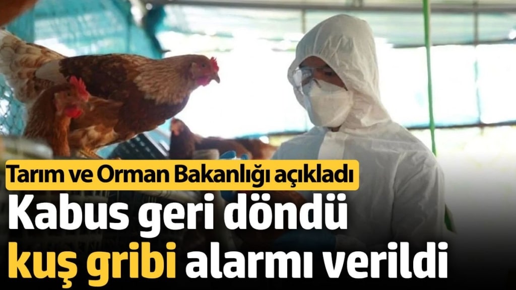 Kabus geri döndü kuş gribi alarmı verildi. Tarım ve Orman Bakanlığı açıkladı