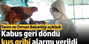 Kabus geri döndü kuş gribi alarmı verildi. Tarım ve Orman Bakanlığı açıkladı