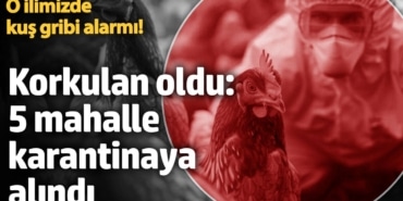 Eskişehir'de kuş gribi alarmı!  Korkulan oldu: 5 mahalle karantinaya alındı