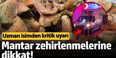 Mantar Zehirlenmelerine Dikkat! Uzmandan Uyarılar