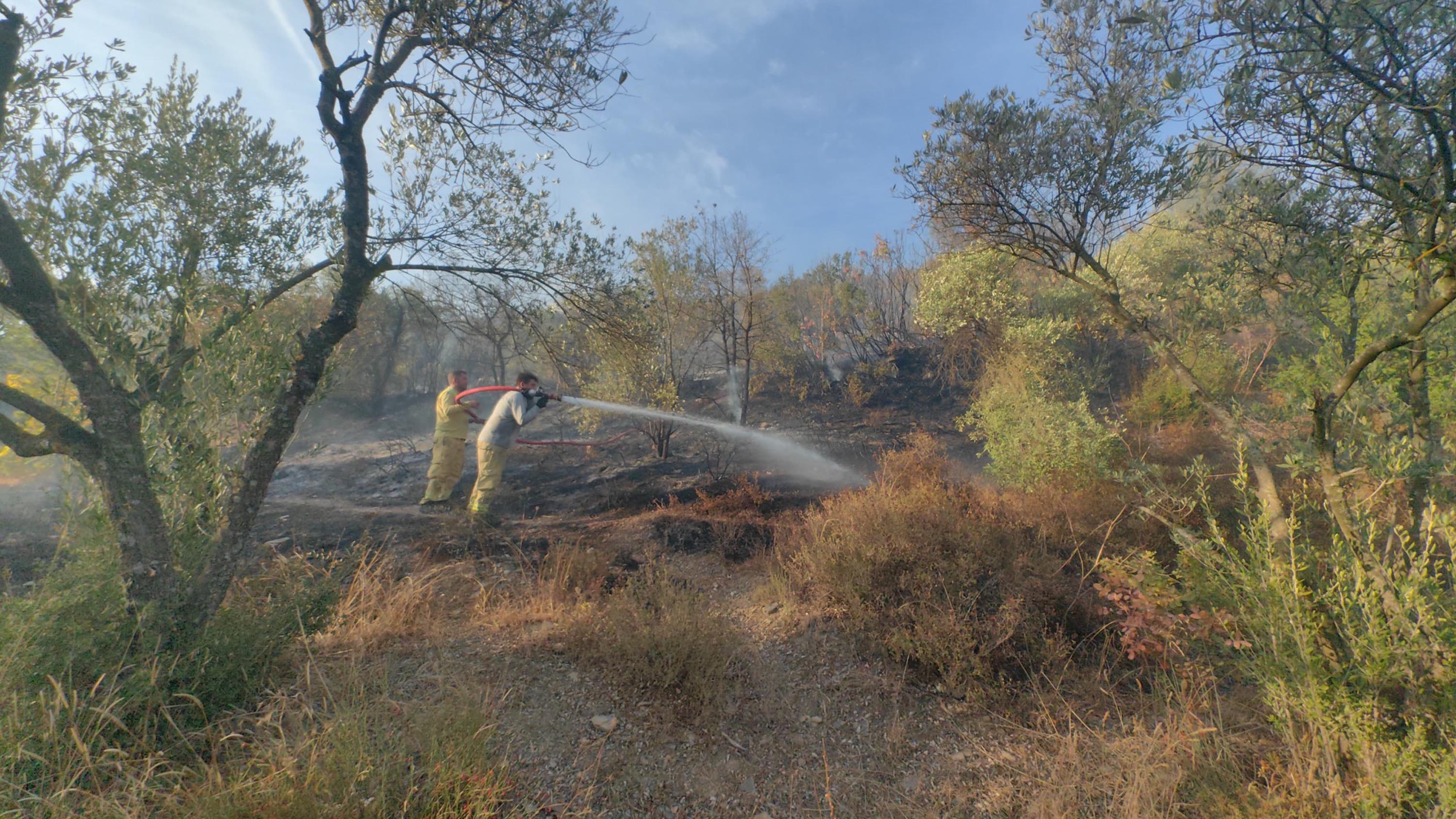 Yangın Görüntüsü