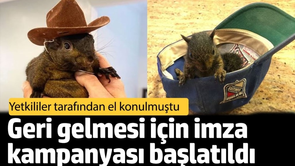 Komşular şikâyetçi olmuştu: Geri gelmesi için imza kampanyası başlatıldı