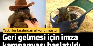 Komşular şikâyetçi olmuştu: Geri gelmesi için imza kampanyası başlatıldı