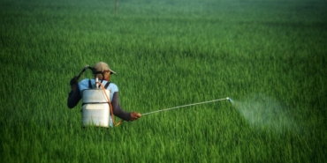 Pestisitler ve Prostat Kanseri: Yeni Araştırma Şokta!