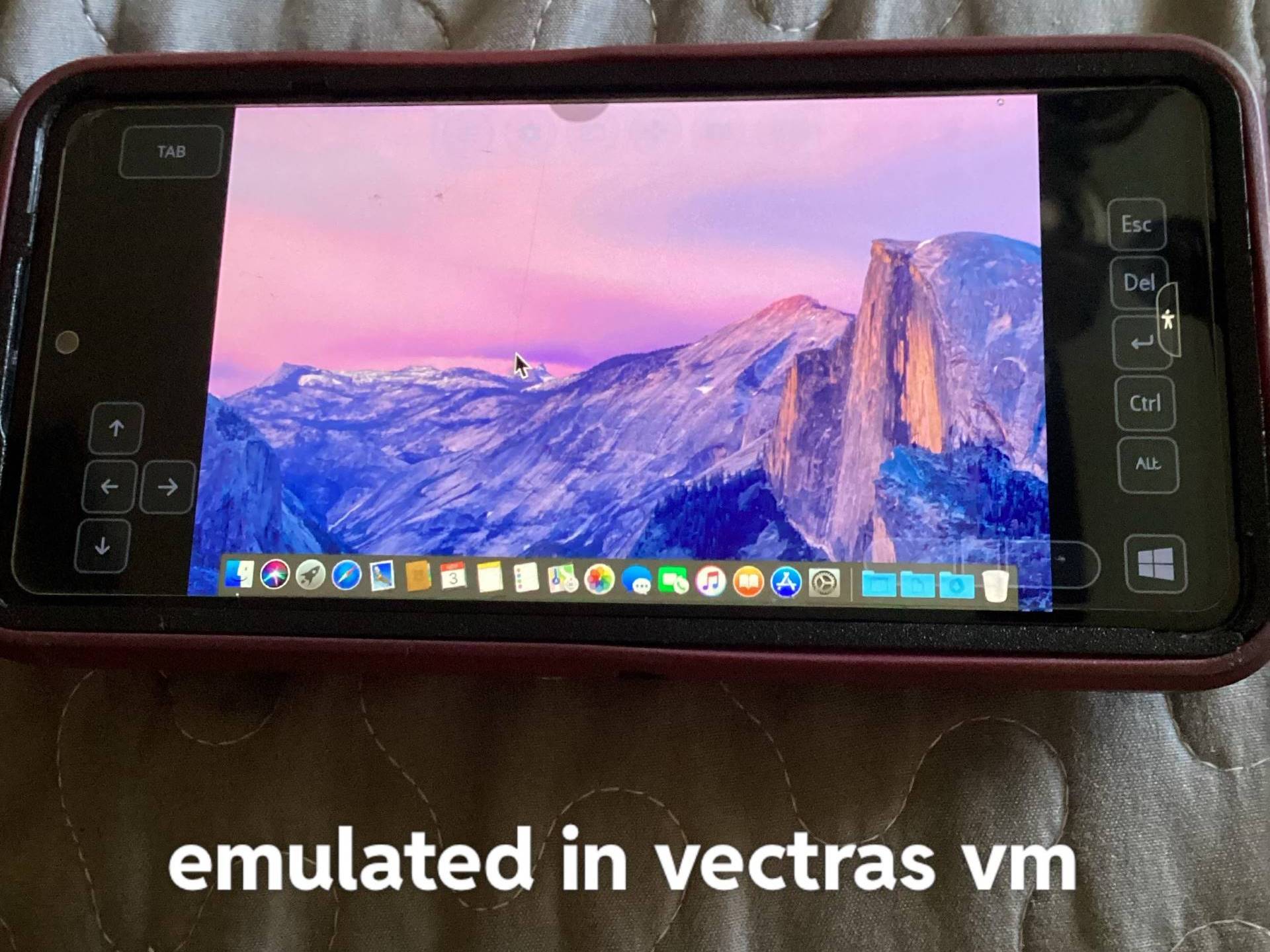 Emülasyon Başarısı