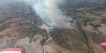 Adana'da ağaçlık alanda çıkan yangın söndürüldü!