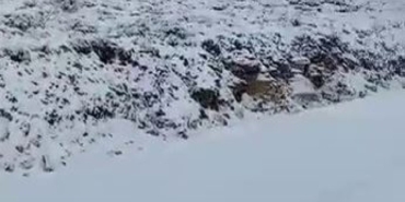 Siirt’te mevsimin ilk karı yağdı