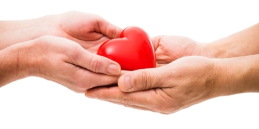 Türkiye'de Organ Bağış Oranı Sadece Yüzde 19!