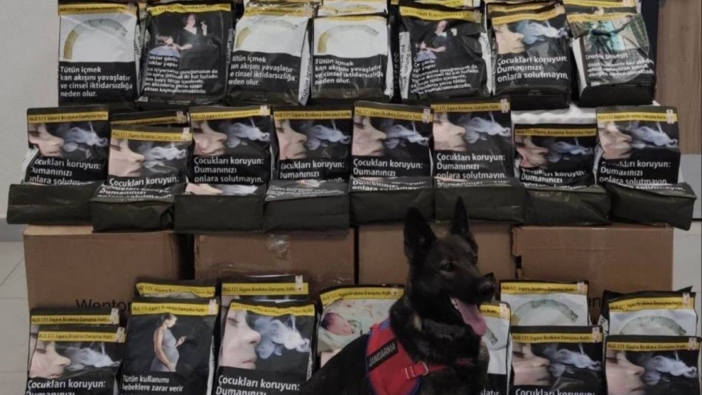 Elazığ’da 85 kilo tütün ele geçirildi!