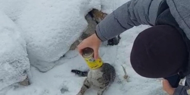 Konserve kutusuna sıkışan kediye yardım eli