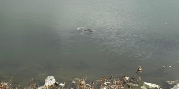 Aksaray'da baraj gölünde erkek cesedi bulundu