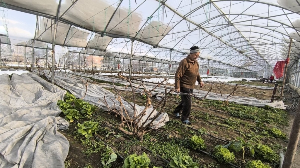 Erzurum'da kar yağışı seralara zarar verdi