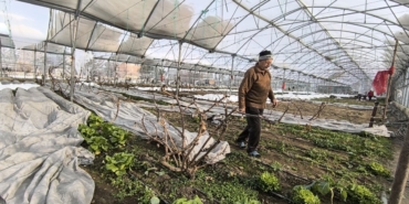 Erzurum'da kar yağışı seralara zarar verdi