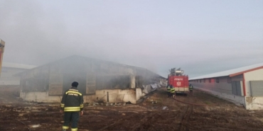 Eskişehir'de tavuk çiftliğinde yangın çıktı
