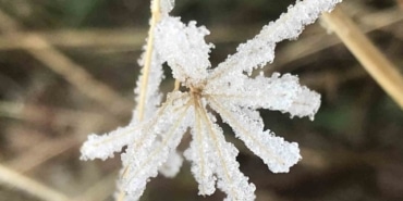 Batman’da kırağı etkisi kartpostallık görüntüler oluşturdu