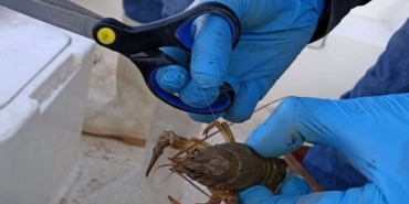 Kırklareli Kayalı Barajı’nda kaçak av denetimi