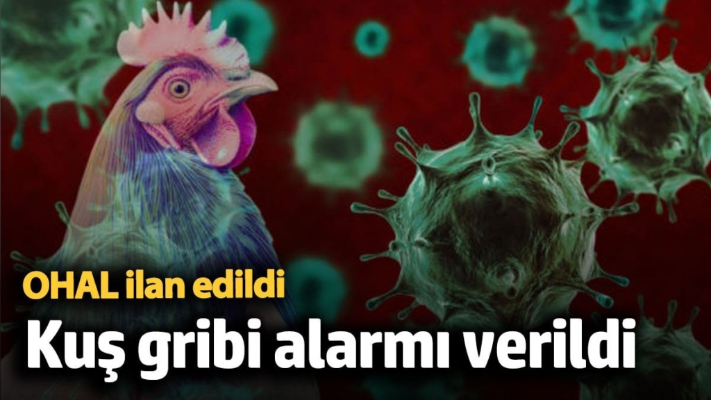 ABD'de kuş gribi alarma geçti! OHAL ilan edildi