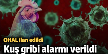 ABD'de kuş gribi alarma geçti! OHAL ilan edildi