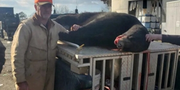 ABD'de avcı ağaçtaki vurulan ayının üzerine düşmesi sonucu öldü