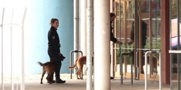 Avusturya'da bomba paniği: 16 okul kapatıldı