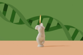 Biyolojik Yaş Kolon Kanserini Artırıyor