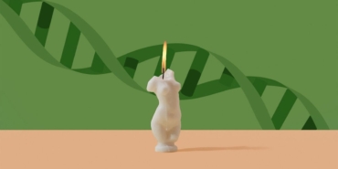 Biyolojik Yaş Kolon Kanserini Artırıyor