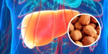 Fındık Ekstresi ve Kanser