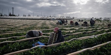 Göçmen İşçi Sayısı 168 Milyona Ulaştı