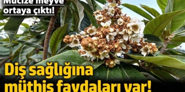 Mucize Meyve: Diş Sağlığına Faydaları