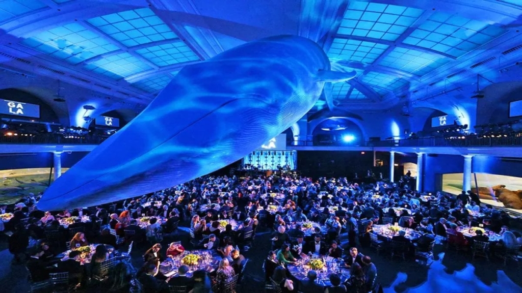 Müze açılışına yıldız yağdı