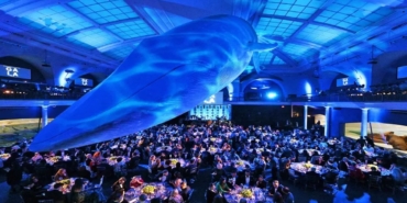 Müze açılışına yıldız yağdı