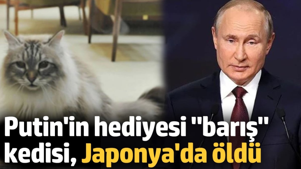Putin'in hediyesi 